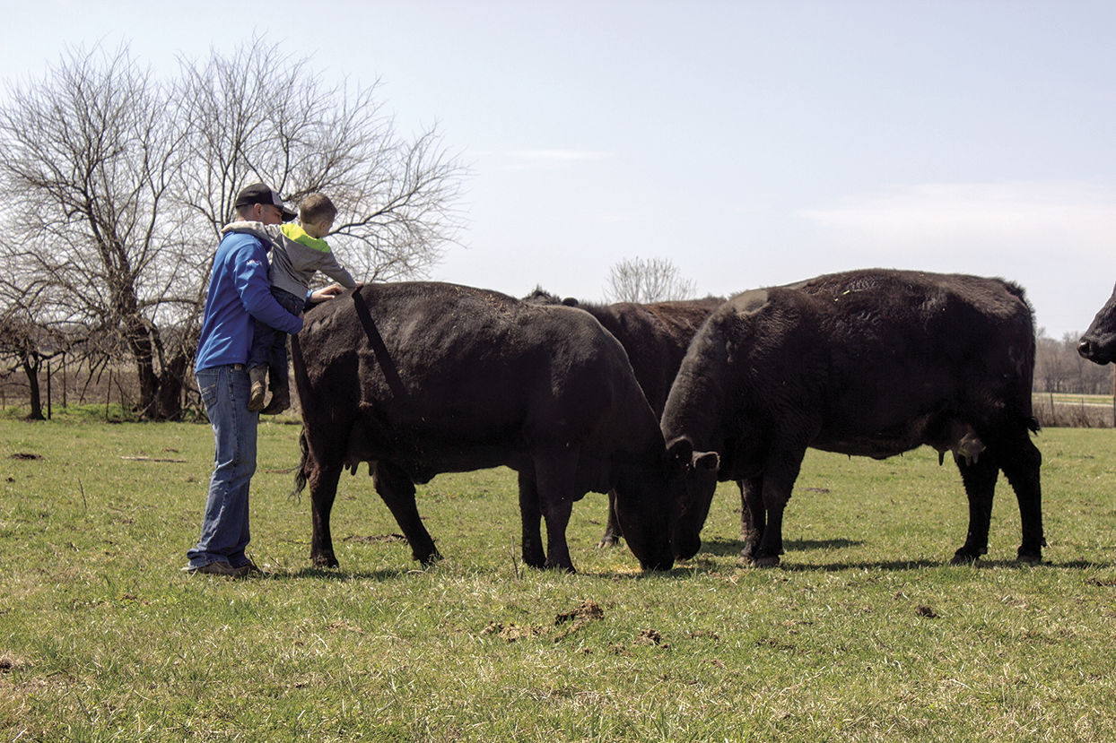 Gleonda Angus Farms
